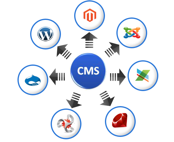 Website Development Service
