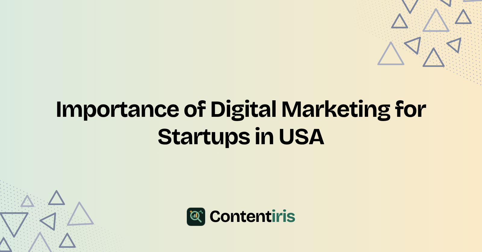 Importance of Digital Marketing for Startups in USA